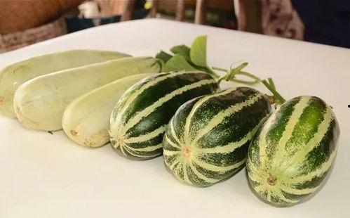 网红吃瓜爆料大全,揭秘娱乐圈幕后真相  第3张 网红吃瓜爆料大全,揭秘娱乐圈幕后真相  第3张