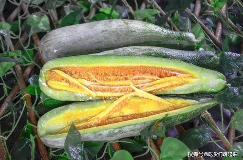 吃瓜原创网红推荐,盘点那些必尝美食！