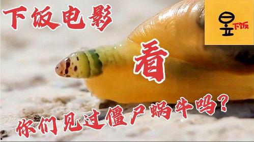 娱乐吃瓜牛片,吃瓜牛片背后的故事  第2张 娱乐吃瓜牛片,吃瓜牛片背后的故事  第2张