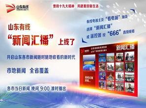 山东泰安新闻爆料平台,聚焦民生热点,揭示社会动态