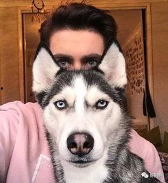 二哈吃瓜娱乐圈百度云,娱乐圈风云录  第3张 二哈吃瓜娱乐圈百度云,娱乐圈风云录  第3张