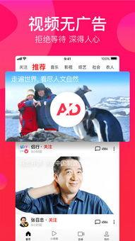 吃瓜挨揍视频大全下载免费,免费下载,揭秘网络暴力真相  第2张 吃瓜挨揍视频大全下载免费,免费下载,揭秘网络暴力真相  第2张