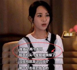 杨紫爆料娱乐圈视频,真实与虚幻的碰撞  第3张 杨紫爆料娱乐圈视频,真实与虚幻的碰撞  第3张