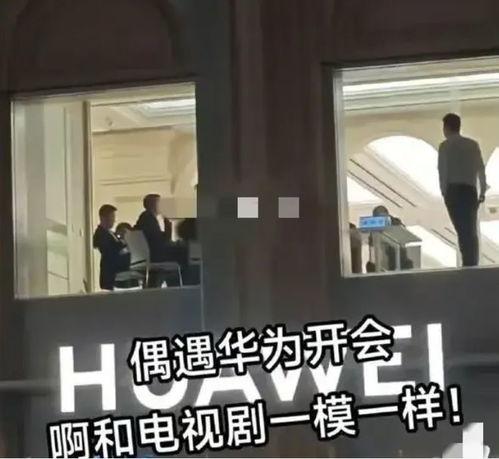 华为爆料女员工是谁啊视频,揭秘事件背后真相  第3张 华为爆料女员工是谁啊视频,揭秘事件背后真相  第3张