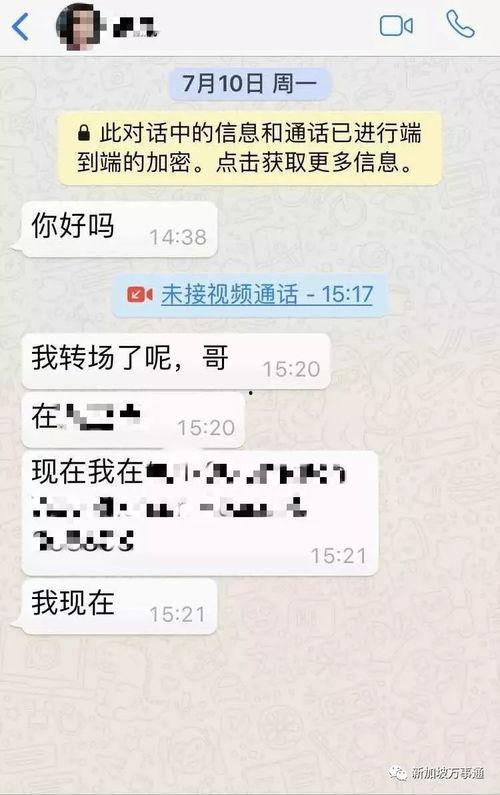 爆料新加坡花场视频大全,揭秘花场魅力瞬间  第3张 爆料新加坡花场视频大全,揭秘花场魅力瞬间  第3张