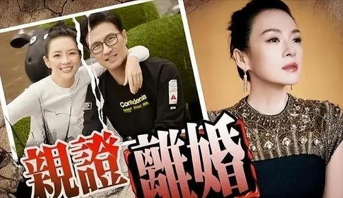 刘大锤最新爆料张彬彬视频,揭秘幕后精彩瞬间  第3张 刘大锤最新爆料张彬彬视频,揭秘幕后精彩瞬间  第3张