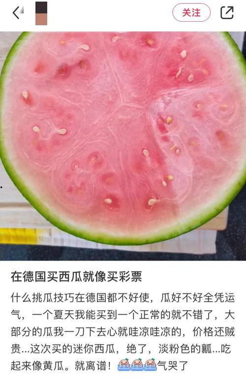 吃瓜网免费官网全球,全球热点一网打尽,畅享无界限的娱乐盛宴  第2张 吃瓜网免费官网全球,全球热点一网打尽,畅享无界限的娱乐盛宴  第2张