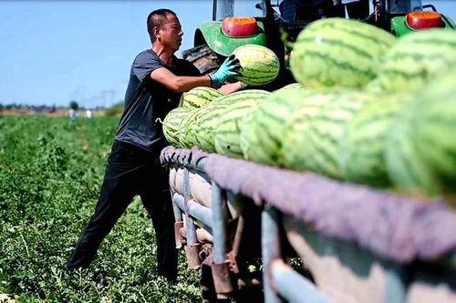 新沂新瓜最新爆料视频,最新爆料内容大起底  第2张 新沂新瓜最新爆料视频,最新爆料内容大起底  第2张