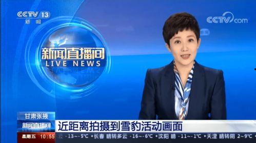 张掖新闻热线爆料电话  第2张 张掖新闻热线爆料电话  第2张