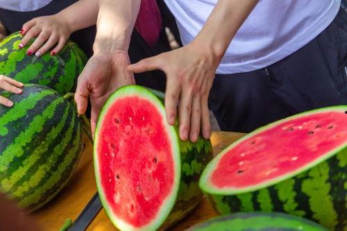 盛世东方曹县免费吃瓜,免费瓜果盛宴,共享盛世东方风采