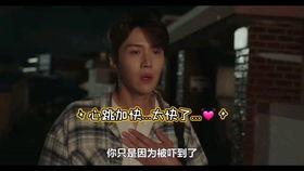 绝不后悔在线观看中字,勇敢抉择,无悔人生  第2张 绝不后悔在线观看中字,勇敢抉择,无悔人生  第2张