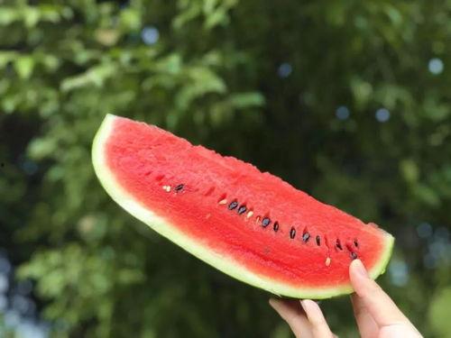 有一个网站可以免费吃瓜,畅享网络娱乐新体验  第2张 有一个网站可以免费吃瓜,畅享网络娱乐新体验  第2张