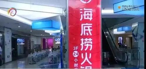 市民爆料海底捞视频,市民爆料视频曝光惊人一幕  第2张 市民爆料海底捞视频,市民爆料视频曝光惊人一幕  第2张
