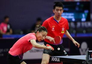 马特乒乓爆料视频大全,揭秘乒乓球界的精彩瞬间与幕后故事  第3张 马特乒乓爆料视频大全,揭秘乒乓球界的精彩瞬间与幕后故事  第3张