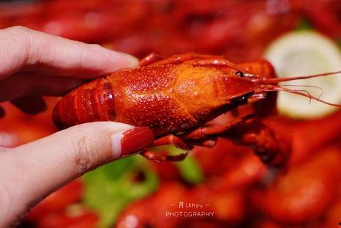 厦门龙虾爆料事件视频曝光,揭露海鲜市场惊人内幕  第2张 厦门龙虾爆料事件视频曝光,揭露海鲜市场惊人内幕  第2张