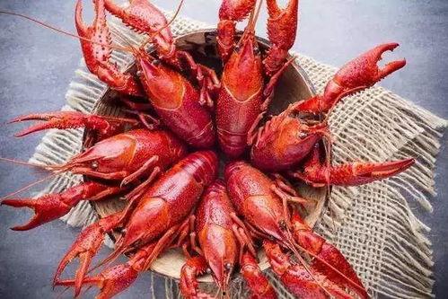 厦门龙虾爆料事件视频曝光,揭露海鲜市场惊人内幕  第3张 厦门龙虾爆料事件视频曝光,揭露海鲜市场惊人内幕  第3张